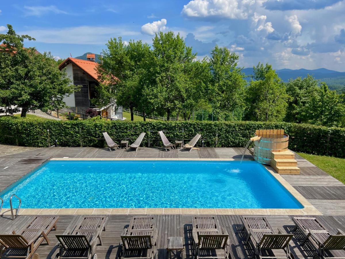 Guest House Domacija Krnc Hrib pri Hinjah Экстерьер фото
